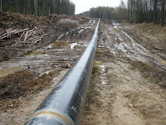 Escravos-Lagos Pipeline (ELP)